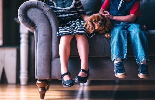Les Types de Chaussures de Mode pour Enfant